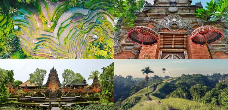 wisata alam desa ubud