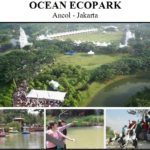 ocean eco aprk