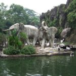 ragunan