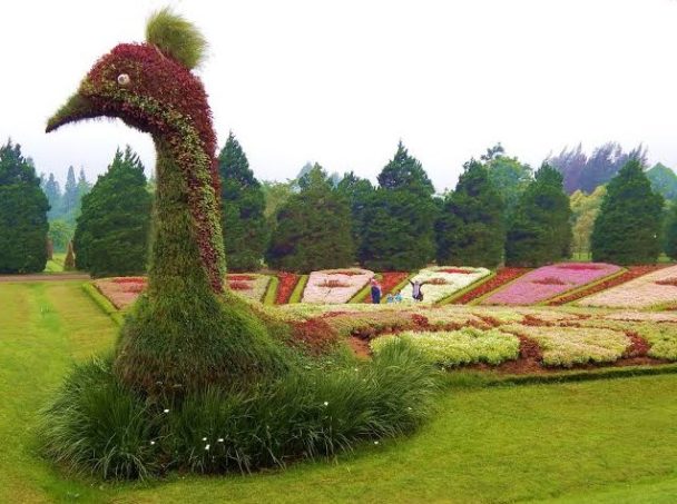 taman bunga nusantara