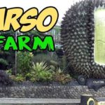 warso farm