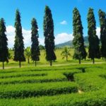 taman labirin medan