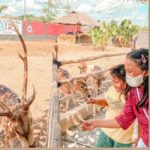 Palembang Bird Park