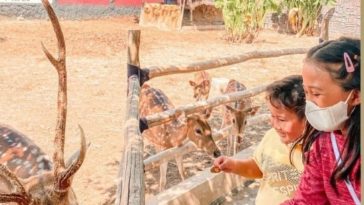 Palembang Bird Park