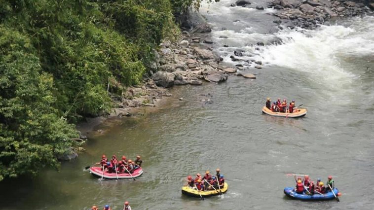 sungai manna
