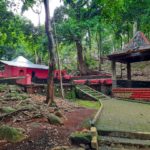 Hutan Kera Plangon
