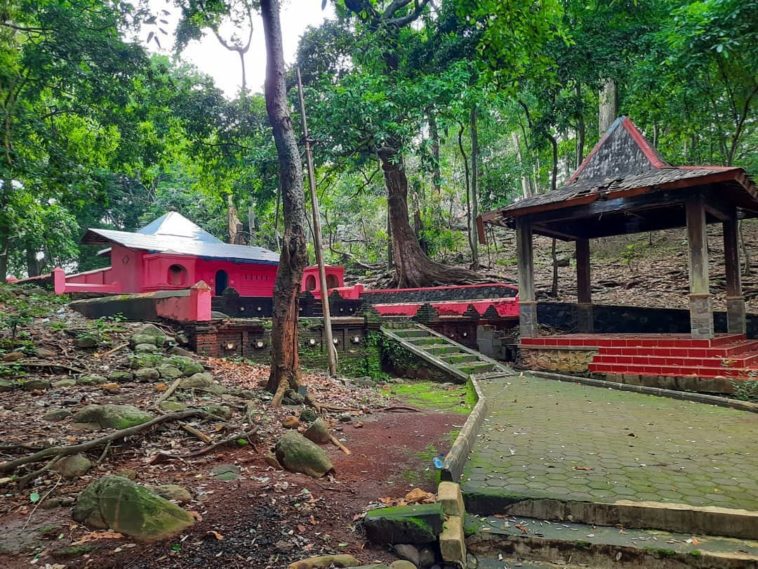 Hutan Kera Plangon