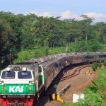 Jadwal Kereta Sri Tanjung